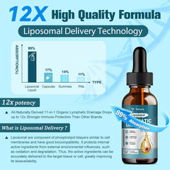 Liposomal Lymphatic Drainage Drops - 11 In 1 Organic Lymphatic Drainage Supplement with Burdock Root, Echinacea, Elderberry, Dandelion Supports Lymphatic Health 2 FL.OZ