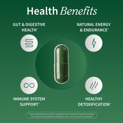 Supplements USDA Organic Spirulina & Chlorella, 120 Vegan Capsules | Superfood Supplement for Energy & Immune Support, Non-GMO, 30-Day Supply