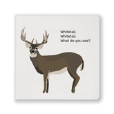 Whitetail, Whitetail, What Do You See? - A "Children's Book" for the Hunting Family