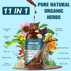 Liposomal Lymphatic Drainage Drops - 11 In 1 Organic Lymphatic Drainage Supplement with Burdock Root, Echinacea, Elderberry, Dandelion Supports Lymphatic Health 2 FL.OZ