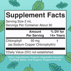Chlorophyll Liquid Drops | | Vegan | Non-Diluted Liquid Chlorophyll| Mulberry Derived Supplement for 14+ | Non-GMO | Delicious Minty Flavor | 2 Fl Oz