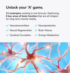 Mind Lab Pro Universal Nootropic Supplement - 60 Capsules