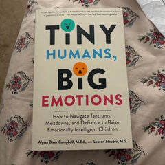 Tiny Humans, Big Emotions: How to Navigate Tantrums, Meltdowns, and Defiance to Raise Emotionally Intelligent Children