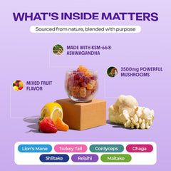 Organic Mushroom Gummies & Ashwagandha - Mixed Berry, 80 ct | KSM-66 Ashwagandha Gummies with 7 Superfood Mushroom