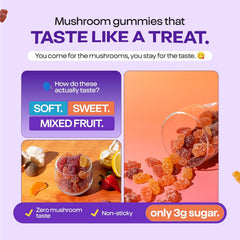 Organic Mushroom Gummies & Ashwagandha - Mixed Berry, 80 ct | KSM-66 Ashwagandha Gummies with 7 Superfood Mushroom
