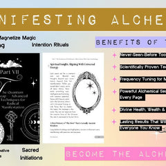 Manifesting Alchemy: The Revolutionary Formula that Blends Neuroscience & the Laws of Attraction to Create Health, Wealth & Love