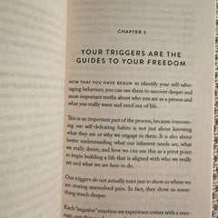 The Mountain Is You: Transforming Self-Sabotage Into Self-Mastery